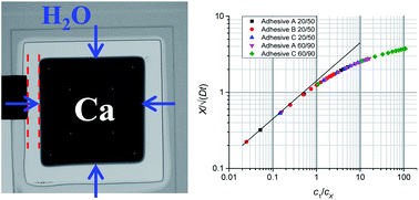 Graphical abstract: A combined experimental and theoretical study on the side ingress of water into barrier adhesives for organic electronics applications