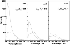 Graphical abstract: The 2-phenylbenzimidazole-5-sulfonate/layered double hydroxide co-intercalation composite and its luminescence response to nucleotides