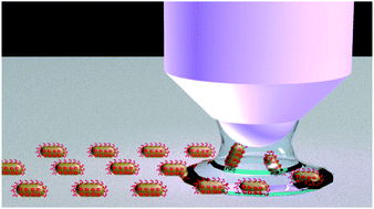 Graphical abstract: Multiplexed charge-selective surface enhanced Raman scattering based on plasmonic calligraphy