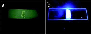 Graphical abstract: Unlimited water-soluble white emitter with two-photon absorption