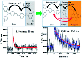 Graphical abstract: Ambipolar organic semiconductors with cascades of energy levels for generating long-lived charge separated states: a donor–acceptor1–acceptor2 architectural triarylamine dye