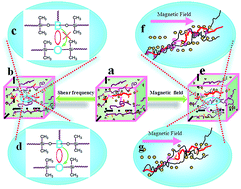 Graphical abstract: Multifunctional polymer composite with excellent shear stiffening performance and magnetorheological effect