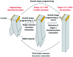 Graphical abstract: Electro-mechanical actuator with muscle memory