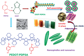 Graphical abstract: Water dispersible electrically conductive poly(3,4-ethylenedioxythiophene) nanospindles by liquid crystalline template assisted polymerization