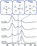 Graphical abstract: Properties and structural investigation of gallophosphate glasses by 71Ga and 31P nuclear magnetic resonance and vibrational spectroscopies