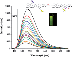 Graphical abstract: Highly sensitive conjugated polymer fluorescent sensors based on benzochalcogendiazole for nickel ions in real-time detection