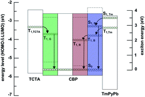 Graphical abstract: A hybrid white organic light-emitting diode with above 20% external quantum efficiency and extremely low efficiency roll-off