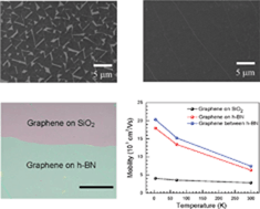 Graphical abstract: Superior characteristics of graphene field effect transistor enclosed by chemical-vapor-deposition-grown hexagonal boron nitride