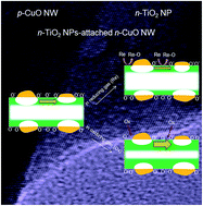 Graphical abstract: A novel approach to improving oxidizing-gas sensing ability of p-CuO nanowires using biased radial modulation of a hole-accumulation layer