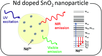 Graphical abstract: Optical and structural properties of Nd doped SnO2 powder fabricated by the sol–gel method