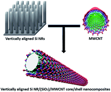 Graphical abstract: A coaxial structure of multiwall carbon nanotubes on vertically aligned Si nanorods and its intrinsic characteristics