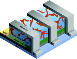 Graphical abstract: Synthesis and properties of low bandgap star molecules TPA-[DTS-PyBTTh3]3 and DMM-TPA[DTS-PyBTTh3]3 for solution-processed bulk heterojunction organic solar cells