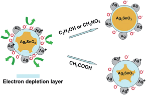 Graphical abstract: Enhanced gas-sensing response by gamma ray irradiation: Ag/Ag2SnO3 nanoparticle-based sensor to ethanol, nitromethane and acetic acid