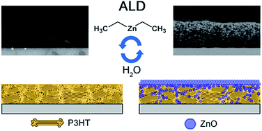 Graphical abstract: Atomic layer deposition of zinc oxide onto and into P3HT for hybrid photovoltaics