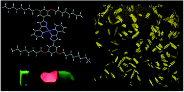 Graphical abstract: Columnar discotic Pt(ii) metallomesogens as luminescence multifunctional materials with chemo and thermosensor abilities