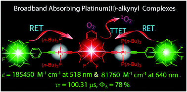 Graphical abstract: trans-Bis(alkylphosphine) platinum(ii)-alkynyl complexes showing broadband visible light absorption and long-lived triplet excited states
