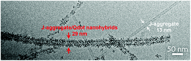 Graphical abstract: In situ synthesis of semiconductor nanocrystals at the surface of tubular J-aggregates