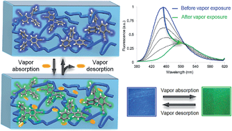 Graphical abstract: Reversible vapochromic response of polymer films doped with a highly emissive molecular rotor