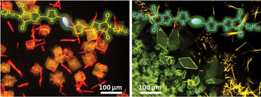 Graphical abstract: Synergic effect of unsaturated inner bridges and polymorphism for tuning the optoelectronic properties of 2,3-thieno(bis)imide based materials