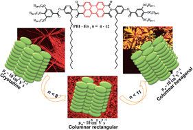 Graphical abstract: Structure–property relationship in charge transporting behaviour of room temperature liquid crystalline perylenebisimides