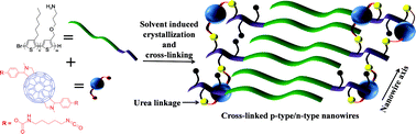 Graphical abstract: Robust polythiophene nanowires cross-linked with functional fullerenes