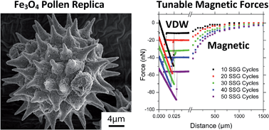 Graphical abstract: Three-dimensional magnetite replicas of pollen particles with tailorable and predictable multimodal adhesion