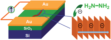 Graphical abstract: Alkylsilane-functionalized perylenediimide derivatives with differential gas sensing properties