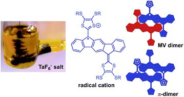 Graphical abstract: Mixed valence radical cations and intermolecular complexes derived from indenofluorene-extended tetrathiafulvalenes