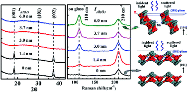 Graphical abstract: Tunable crystallographic grain orientation and Raman fingerprints of polycrystalline SnO thin films