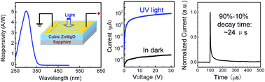 Graphical abstract: Realization of cubic ZnMgO photodetectors for UVB applications