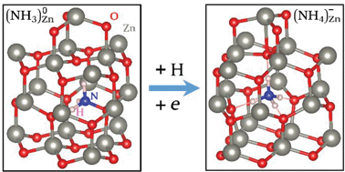 Graphical abstract: Molecular doping of ZnO by ammonia: a possible shallow acceptor