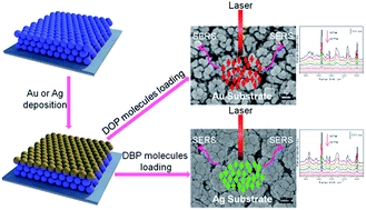 Graphical abstract: Fabrication of long-range ordered, broccoli-like SERS arrays and application in detecting endocrine disrupting chemicals