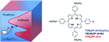 Graphical abstract: The effects of heavy atoms on the exciton diffusion properties in photoactive thin films of tetrakis(4-carbomethoxyphenyl)porphyrins