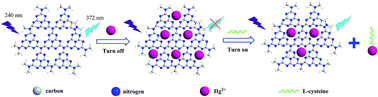 Graphical abstract: Fluorescent probes for “off–on” sensitive and selective detection of mercury ions and l-cysteine based on graphitic carbon nitride nanosheets