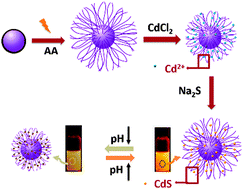 Graphical abstract: Immobilized CdS quantum dots in spherical polyelectrolyte brushes: fabrication, characterization and optical properties