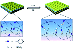 Graphical abstract: CO2-switchable poly (N-isopropylacrylamide) microgel-based etalons