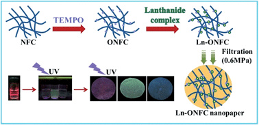 Graphical abstract: Fast fabrication of transparent and multi-luminescent TEMPO-oxidized nanofibrillated cellulose nanopaper functionalized with lanthanide complexes