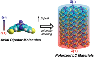 Graphical abstract: A columnar liquid crystal with permanent polar order