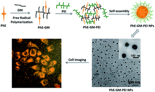 Graphical abstract: Fabrication of cross-linked fluorescent polymer nanoparticles and their cell imaging applications