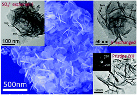 Graphical abstract: One-step freezing temperature crystallization of layered rare-earth hydroxide (Ln2(OH)5NO3·nH2O) nanosheets for a wide spectrum of Ln (Ln = Pr–Er, and Y), anion exchange with fluorine and sulfate, and microscopic coordination probed via photoluminescence