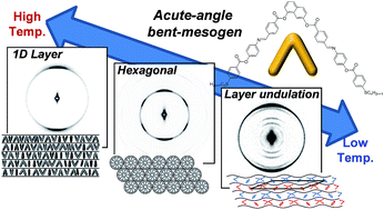 Graphical abstract: Smectic A–hexagonal columnar–B7 phase transition of acute-angle bent-core molecules