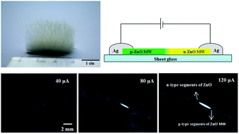 Graphical abstract: ZnO single microwire homojunction light emitting diode grown by electric field assisted chemical vapor deposition