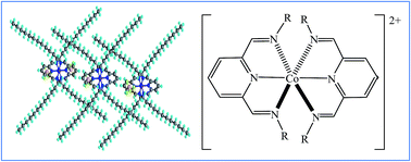Graphical abstract: Spin-crossover, mesomorphic and thermoelectrical properties of cobalt(ii) complexes with alkylated N3-Schiff bases