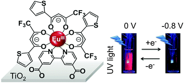 Graphical abstract: Electrochemical luminescence modulation in a Eu(iii) complex-modified TiO2 electrode