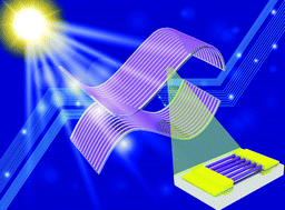 Graphical abstract: Themed issue: flexible electronics