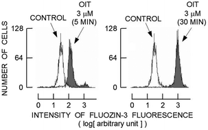Graphical abstract: Elevation of the intracellular Zn2+ level by 2-n-octyl-4-isothiazolin-3-one in rat thymocytes: an involvement of a temperature-sensitive Zn2+ pathway