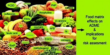 Graphical abstract: Matrix-derived combination effects influencing absorption, distribution, metabolism and excretion (ADME) of food-borne toxic compounds: implications for risk assessment