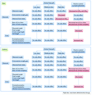 Graphical abstract: The Zishen Yutai pill shows no reproductive toxicity on embryo-fetal development in rats and rabbits