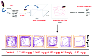 Graphical abstract: Biochemical and behavioral deficits in the lobster cockroach Nauphoeta cinerea model of methylmercury exposure