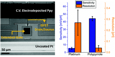 Graphical abstract: On-chip metal/polypyrrole quasi-reference electrodes for robust ISFET operation